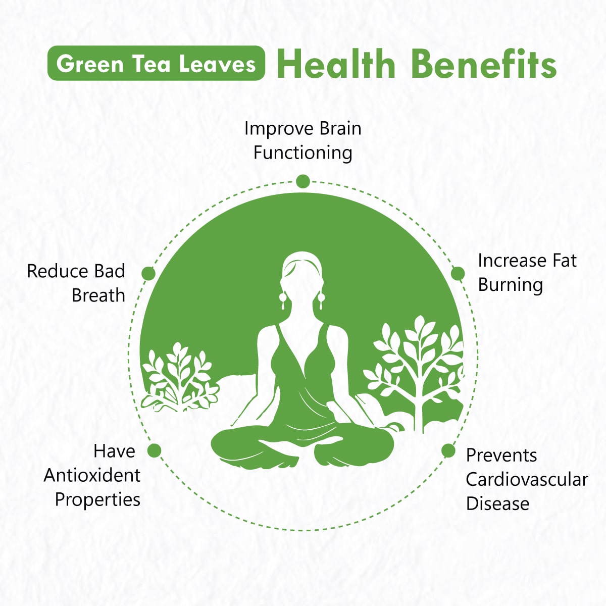 Freshville Green Tea Leaves | Improves Metabolism & Reduces Fat